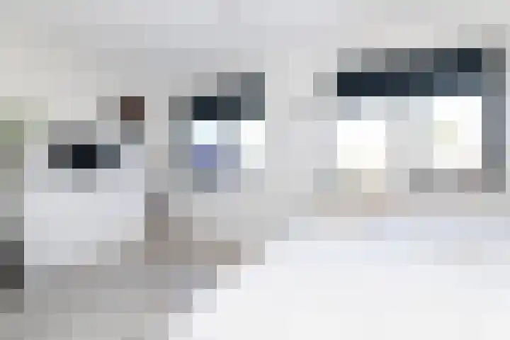 Waterrad 33 Eerbeek thumbnail 22