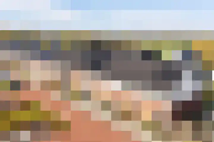 Waterrad 33 Eerbeek thumbnail 35