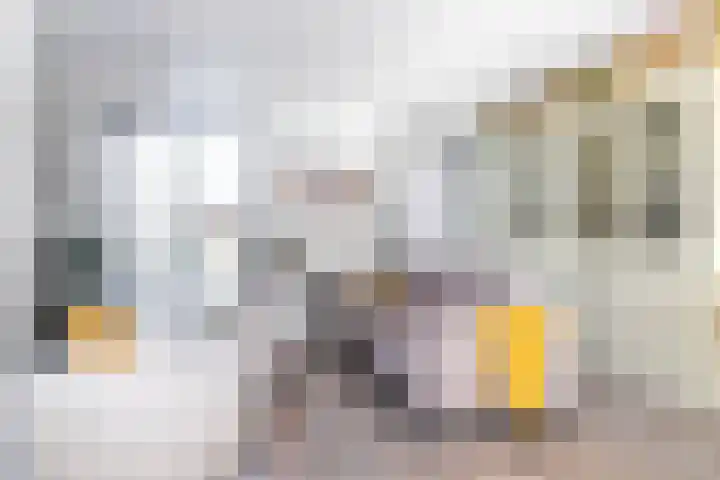 Waterrad 33 Eerbeek thumbnail 6