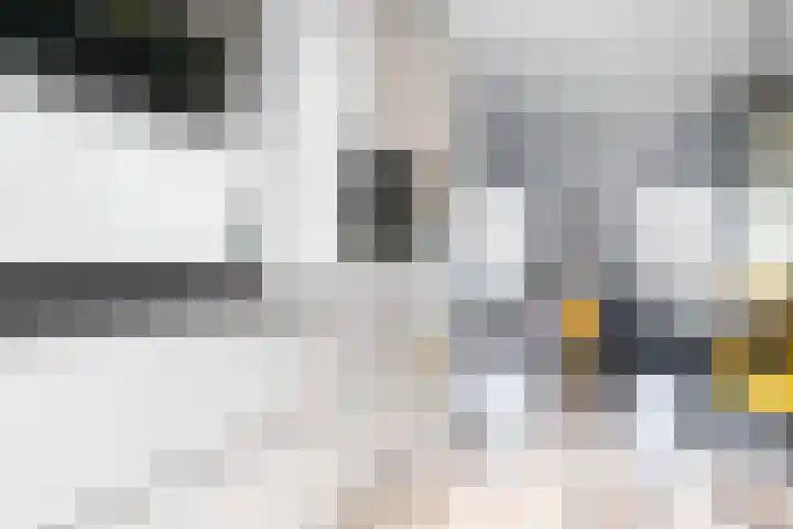 Waterrad 33 Eerbeek thumbnail 9