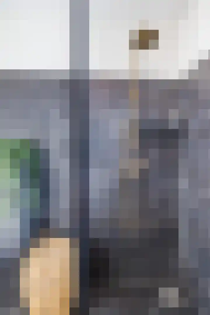 Waterrad 7 Eerbeek thumbnail 34