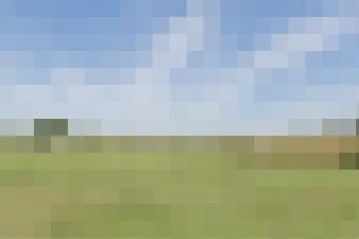 Waterrad 7 Eerbeek thumbnail 60