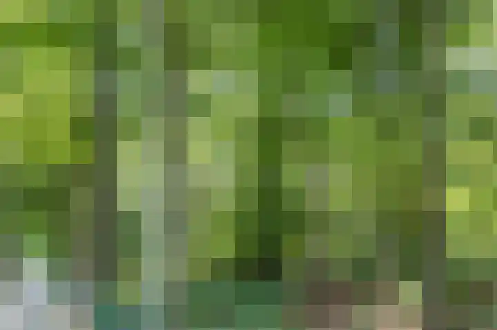 Waterrad 7 Eerbeek thumbnail 64