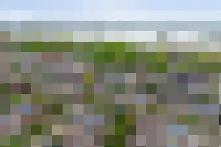 Waterruit 98 Gouda thumbnail 41
