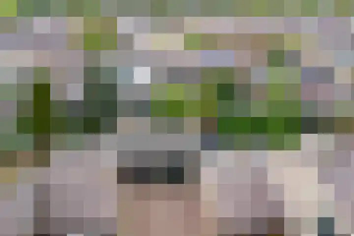 Waterruit 98 Gouda thumbnail 43