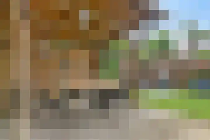 Waterruit 98 Gouda thumbnail 7