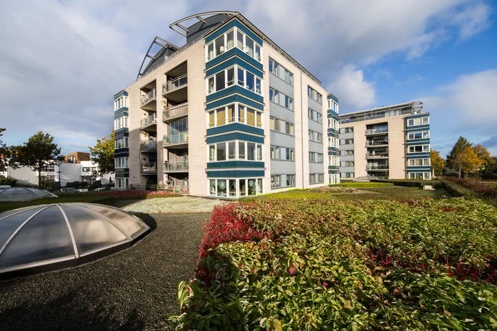 Watersalamander 29 in Amersfoort foto