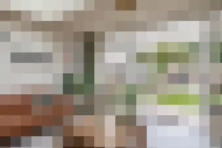 Waterschip 10 Brielle thumbnail 13