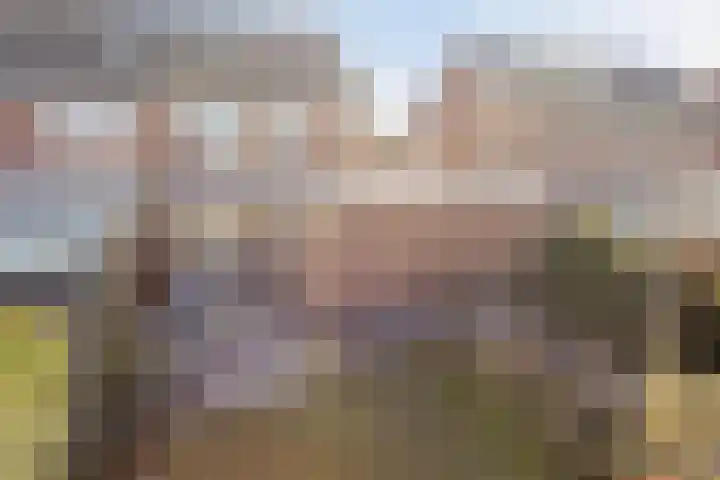 Watersingel 63 Leek thumbnail 43