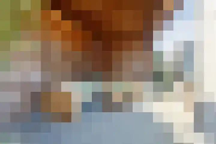 Watersingel 63 Leek thumbnail 47