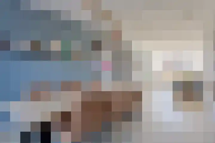 Watersingel 63 Leek thumbnail 5