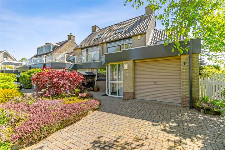 Watersnip 1 in Muiderberg foto