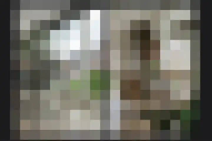 Watersnip 11 Maurik thumbnail 12