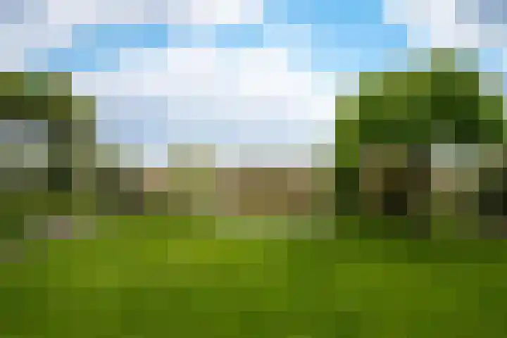 Watersnip 11 Maurik thumbnail 29