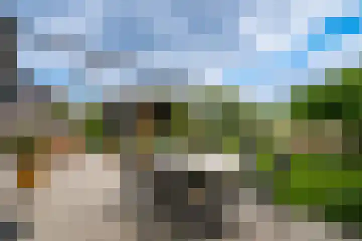 Watersnip 11 Maurik thumbnail 33