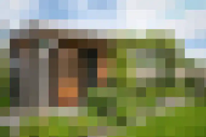 Watersnip 11 Maurik thumbnail 35