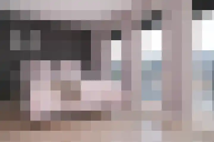 Watersnip 11 Maurik thumbnail 5