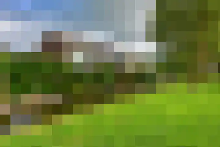 Watersnip 5 Kockengen thumbnail 31