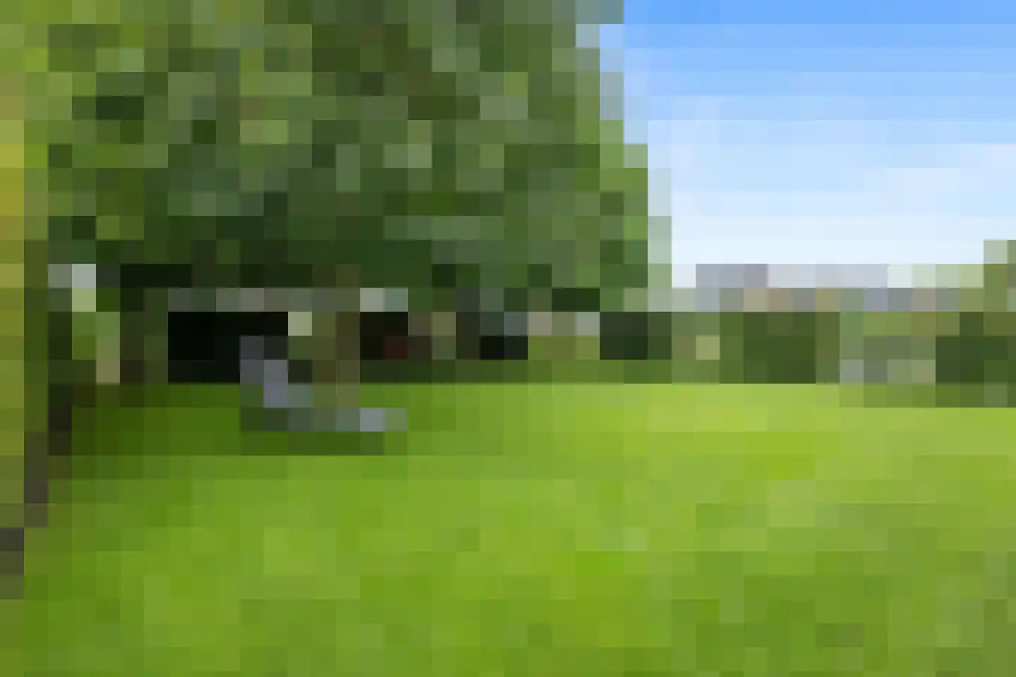 Watersnip 6 Blauwestad thumbnail 45