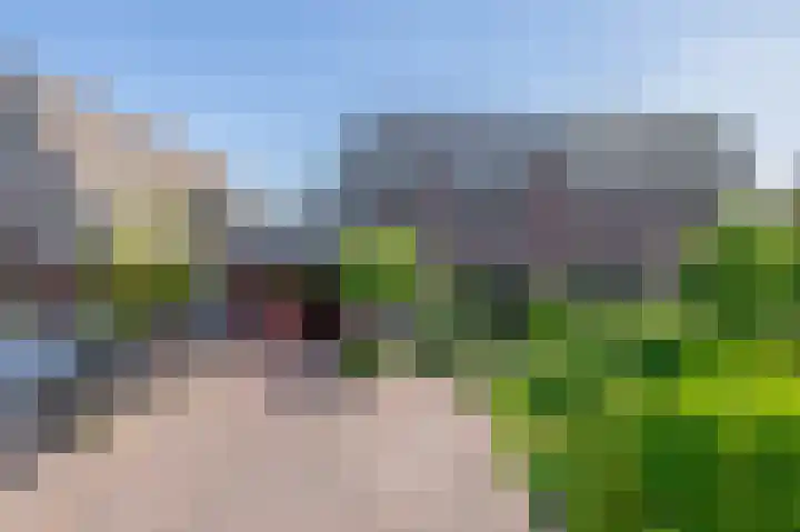 Watersnip 61 in Bodegraven