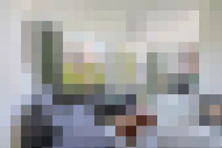 Watersnip 61 Bodegraven thumbnail 18