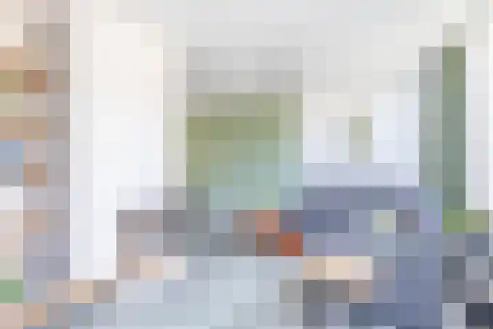 Watersnip 61 Bodegraven thumbnail 19