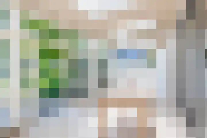 Watersnip 61 Bodegraven thumbnail 20