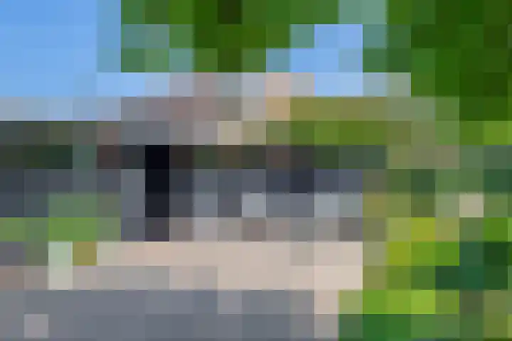 Watersnip 61 Bodegraven thumbnail 22