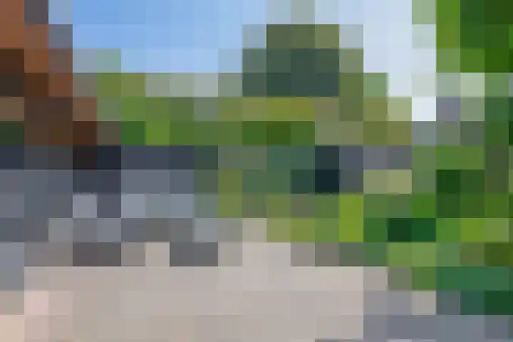 Watersnip 61 Bodegraven thumbnail 23