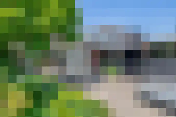 Watersnip 61 Bodegraven thumbnail 4