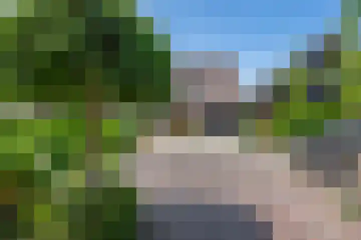 Watersnip 61 Bodegraven thumbnail 41