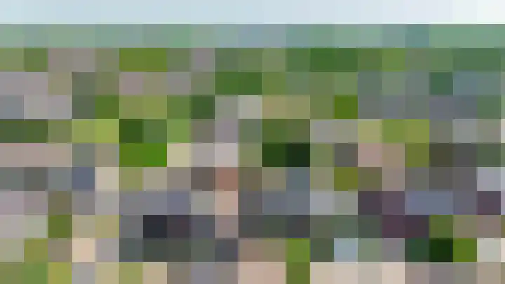 Watersnip 61 Bodegraven thumbnail 43