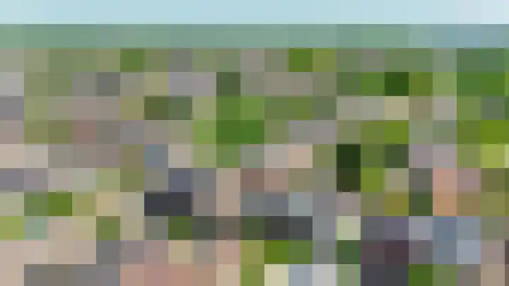 Watersnip 61 Bodegraven thumbnail 44