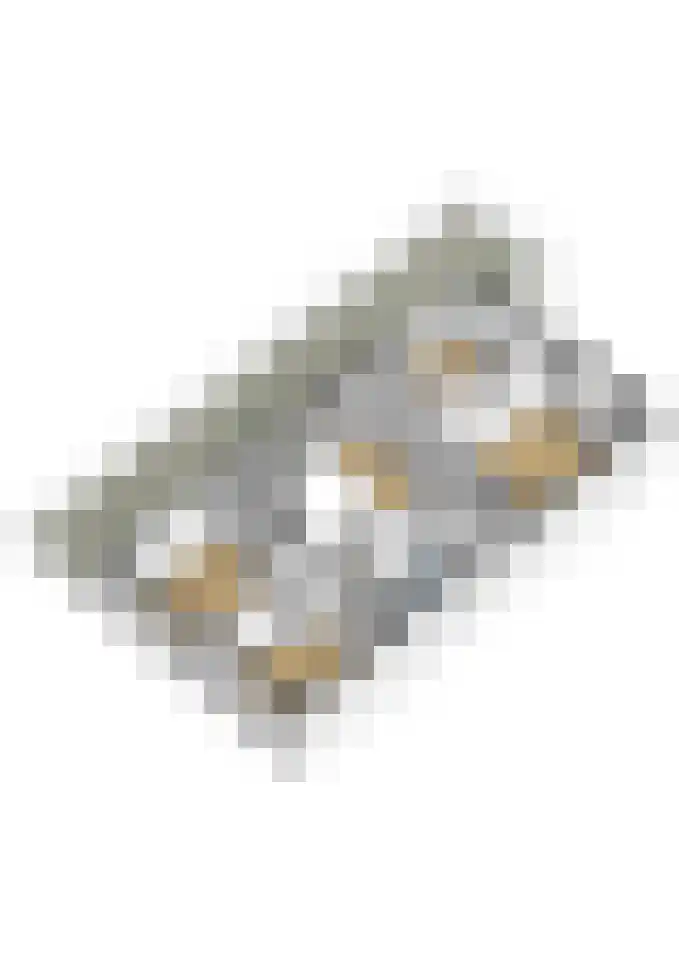 Watersnip 61 Bodegraven thumbnail 49