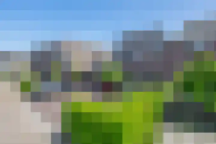 Watersnip 61 Bodegraven thumbnail 5