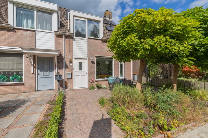 Watersnip 7 in Ilpendam foto