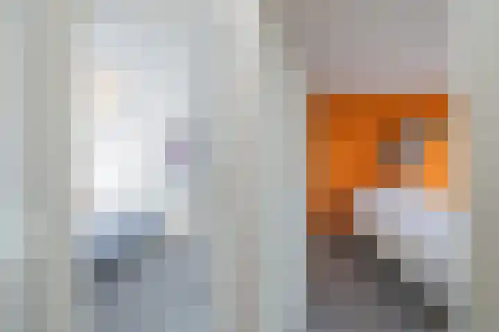 Watersnip 7 Ilpendam thumbnail 22