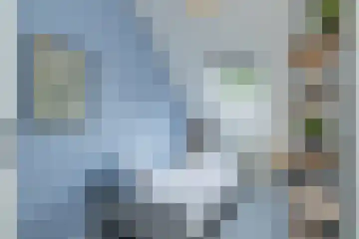 Watersnip 7 Ilpendam thumbnail 25