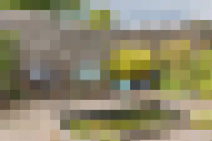 Watersnip 7 Ilpendam thumbnail 35