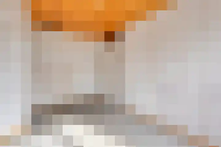 Watersnipstraat 100 Wijchen thumbnail 14