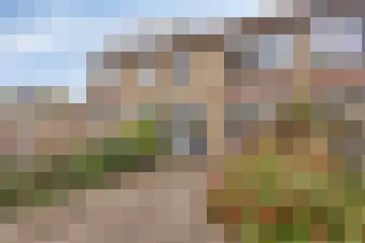 Watersnipstraat 100 Wijchen thumbnail 20