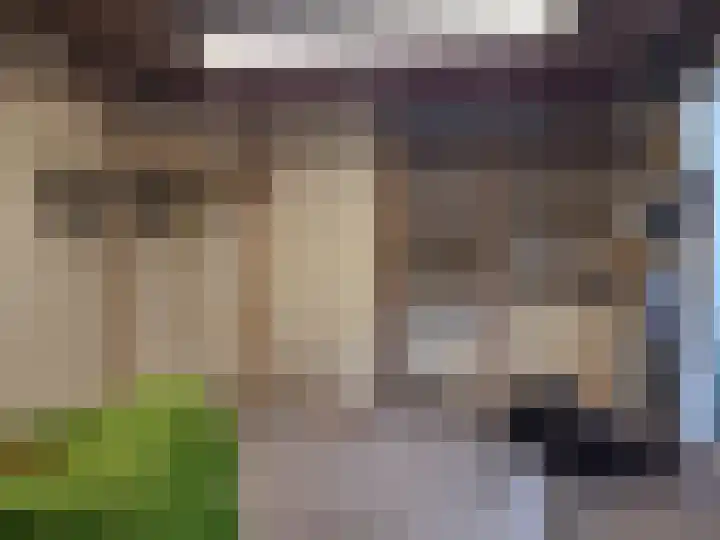 Watersnipstraat 100 Wijchen thumbnail 22