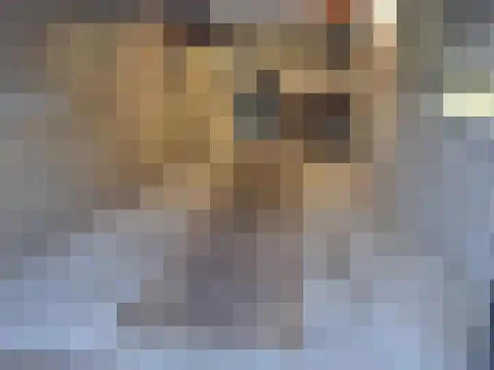 Watersnipstraat 100 Wijchen thumbnail 26