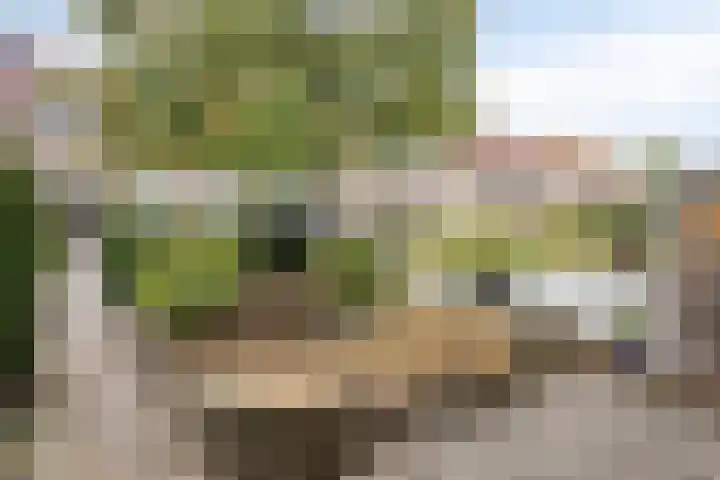 Watersnipstraat 100 Wijchen thumbnail 28