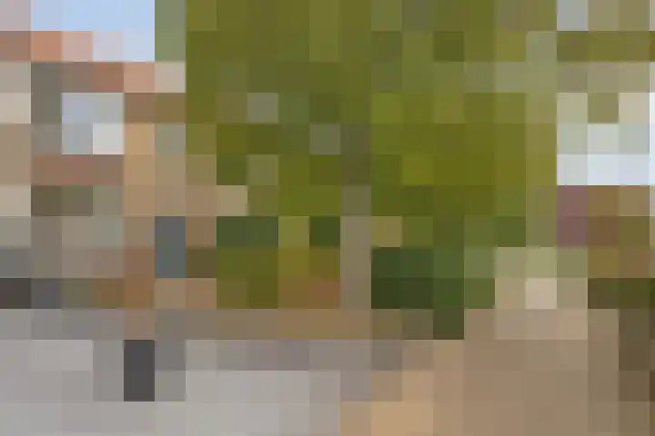 Watersnipstraat 100 Wijchen thumbnail 29