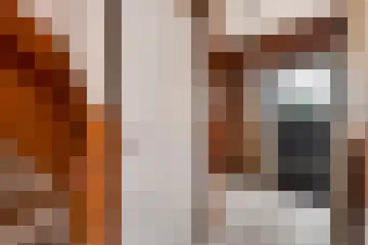 Watersnipstraat 100 Wijchen thumbnail 8