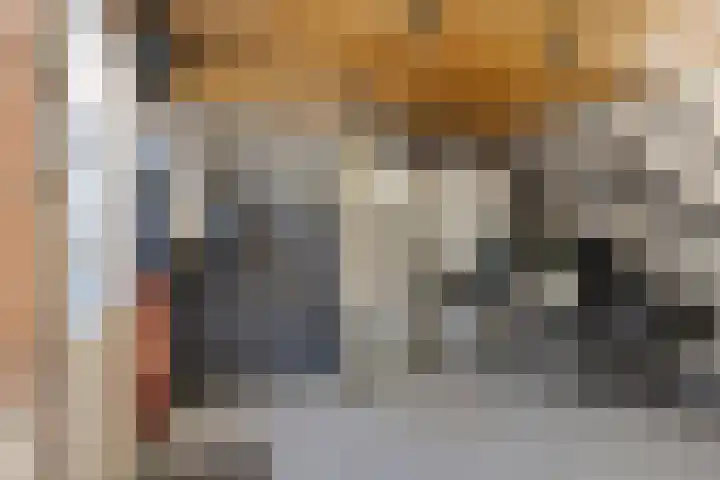 Watersnipstraat 106 Wijchen thumbnail 23