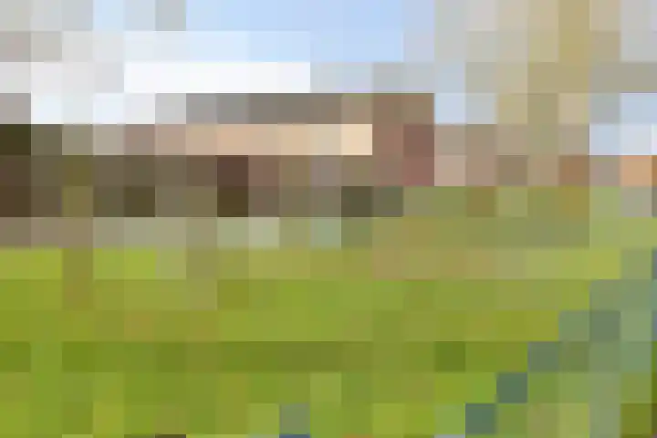 Watersnipstraat 106 Wijchen thumbnail 28
