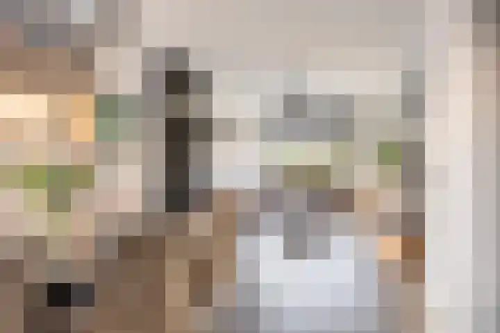 Watersnipstraat 106 Wijchen thumbnail 5