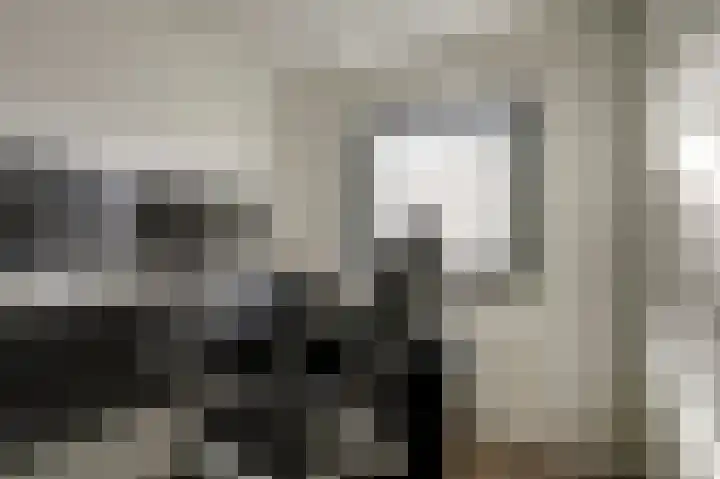Watersnipstraat 86 Wijchen thumbnail 20